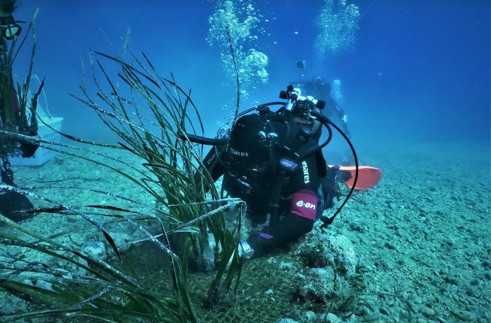 PIANTATI 100MQ DI POSIDONIA A TREMITI ATTRAVERSO LA RETE DEL PROGETTO UNESCO SAVE THE WAVE PIANTATI 100MQ DI POSIDONIA A TREMITI ATTRAVERSO LA RETE DEL PROGETTO UNESCO SAVE THE WAVE